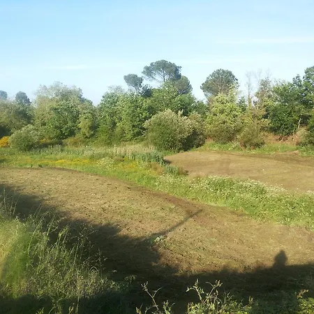 Gasthof Solar Do Morgadio